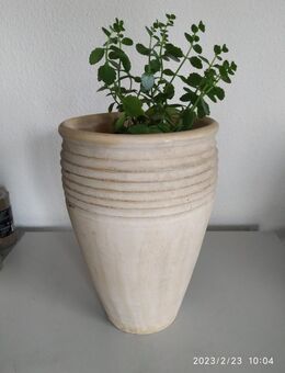Bodenvase 40cm mit Kies und Pflanze - Fulda Zentrum