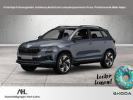 Skoda Karoq, 2.0 TDI Tour v h, Jahr 2024 - Goslar