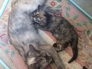 Mama + Baby - München