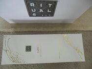 Große Tüte Papiertüte Tragetasche und Karton von Rituals - Hamburg Hamburg-Nord