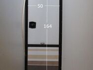 Knaus Azur Wohnwagentür 164 x 50 gebr. (zB 540) mit Rahmen ohne Schlüssel / Aufbautür / Eingangstür - Schotten Zentrum