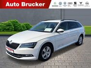 Skoda Superb Combi Ambition 4x4 2.0 TDI+Navi+Alufelgen+Xenon+FSE - Marktredwitz