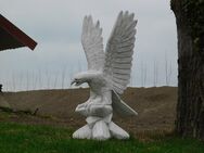 Adler mit erhobenen Flügeln - voll mit Stein - Heek