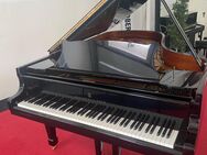 Flügel Steinway&sons B , 211 cm, schwarz polieret, Bj. ca. 1992 wie neu - Oberthulba