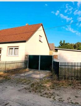 Einfamilienhaus mit großem Grundstück, Nebengelass, Werkstatt, Brunnen - Wittenberg (Lutherstadt)