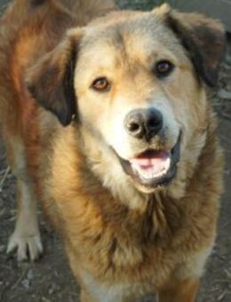 liebe, verschmuste Praha - Kallmünz