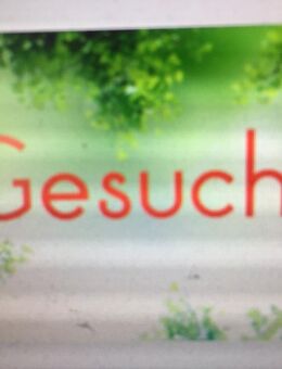 Krawatten / Schlips ( Krawattennadel ) + Fliegen usw. gesucht - Emsdetten Zentrum