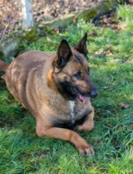 MAJA - neue Freiheit täglich genießen - Overath