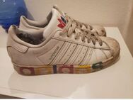 Adidas superstar Schuhe gerne getragen - Köln