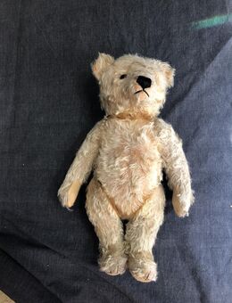 Original 1950er Jahre Steiff Teddybär ca 30 cm - Köln