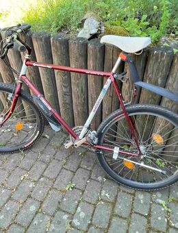Oldtimer-MTB Shimano Longus - Offenbach (Main) Rosenhöhe