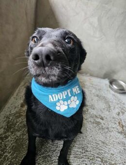 Verschmuster Tiago - Eichenzell