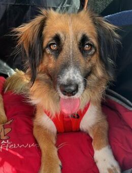 Besuche Grace in 64711 Erbach ❤ - Hamburg
