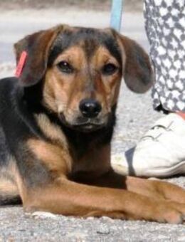 Ehni ist ein kleiner, lieber Schatz! - Karben