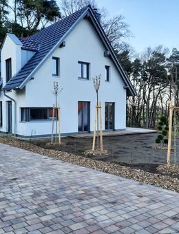 Ferienwohnung in Balm mit Blick auf den Balmer See auf der Ostseeinsel Usedom - Benz (Landkreis Vorpommern-Greifswald)