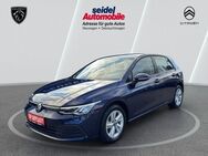 VW Golf, 2.0 TDI VIII Lim Life Business Premium Life, Jahr 2020 - Wunstorf