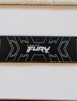 1TB Kingston Fury Renegade 2280 M.2 - Brieselang