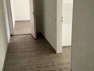 1,5-Zimmer-Single-Appartment mit Dusche sucht Sie! - Bamberg
