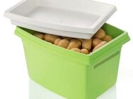 Ruco Kartoffelkiste (Set, 2 St), mit Deckel