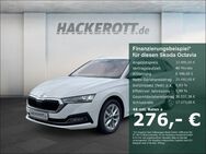 Skoda Octavia, 2.0 TDI Combi Style v h, Jahr 2023 - Langenhagen