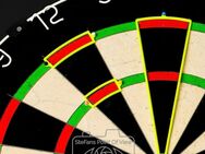 Dart Trainings Segmente, leuchtet Gelb, 5,80 €, Versand 1,80 € - Raesfeld