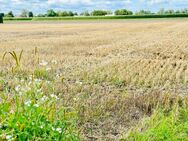 Baugrundstück in schöner Lage von Minderheide - Minden (Nordrhein-Westfalen)