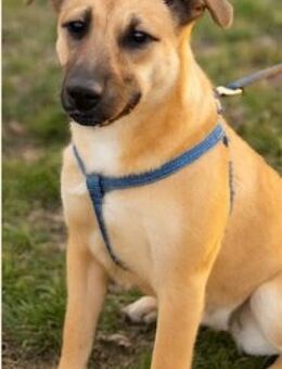 Zauberhafte Pepa sucht... (C) - Ludwigshafen (Rhein)