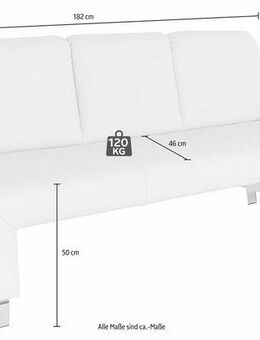 exxpo - sofa fashion Polsterbank Intenso, Sitzbank, Breite 182 cm, wahlweise in Leder oder Textil, hohe Bodenfreiheit, frei im Raum stellbar, hoher Sitzkomfort