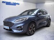 Ford Kuga 2.5 Duratec PHEV ST-LINE X PANO ACC SHZ PDC - Freiburg (Breisgau)