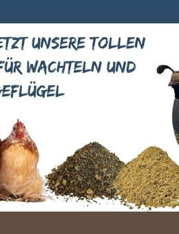 WachtelGlück® Produkte für dein Geflügel - Mücke