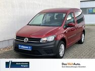 VW Caddy, 1.2 TSI Trendline, Jahr 2016 - Torgau