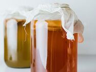 Kombucha / Jun SCOBY Hybrid Starterkultur 🧉 Mother Culture - Hamburg