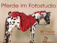 Pferde im Fotostudio   Autor/in: Boiselle, Gabriele - Spraitbach