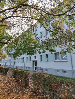 SINGLEWOHNUNG im ERDGESCHOSS - Grimma