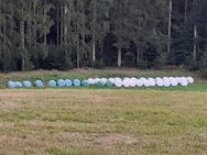 Heulage in Rundballen - Neuler