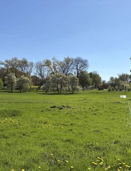 Rarität für Liebhaber - viel Platz für Mensch und Tier! Gepflegtes Anwesen aus dem Jahre 1844... - Strukdorf
