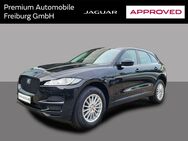 Jaguar F-Pace, 25T PRESTIGE AWD BLACK APPROVED, Jahr 2020 - Freiburg (Breisgau)