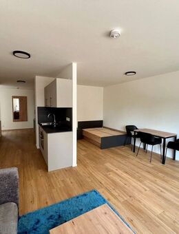 Großzügige, möblierte 1-Zimmer-Wohnung zum Erstbezug! - Nürnberg