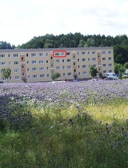 Wohnen am Kurpark 3-Raumwohnung zu vermieten - Wolkenstein