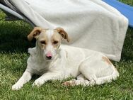Paulina sucht Familienanschluss - Tornesch