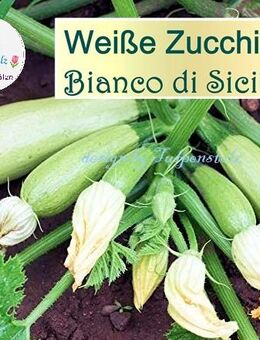 ♥ Bio weiße Zucchini Bianco di Sicilia Samen samenfest Gemüse Garten Tulpenstolz, Cucurbita pepo,weiss,Saatgut,Seeds - Hamburg