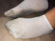 Studentin hat stinkige Socken abzugeben - Stuttgart