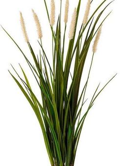 Kunstgras Miscanthus im Erdballen, Creativ green, Höhe 75 cm