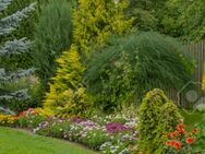 Gartenbau, Gartenhilfe - Damme