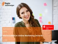 Werkstudent:in Online Marketing (m/w/d) - Ulm