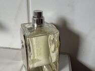 Parfüm Hermes Voyage 100 ml - Zülpich
