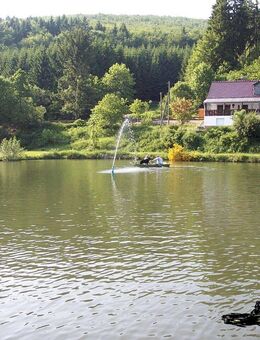 Wohnhaus gr. Haus ehem. Forellenhof Naturparadies Haus am See - Bad Berleburg
