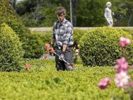 Gartenhilfe | Heckenrückschnitt | Gartenpflege | Gartenarbeit - Mönchengladbach