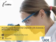 Postdoctoral Researcher (m/w/d) Life Sciences / Molecular Imaging - Münster