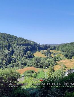 +++Harz+++MFH mit 3 Wohneinheiten, zu sofort frei! - Walkenried